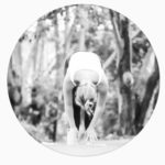 Yallingup Yoga Collective
